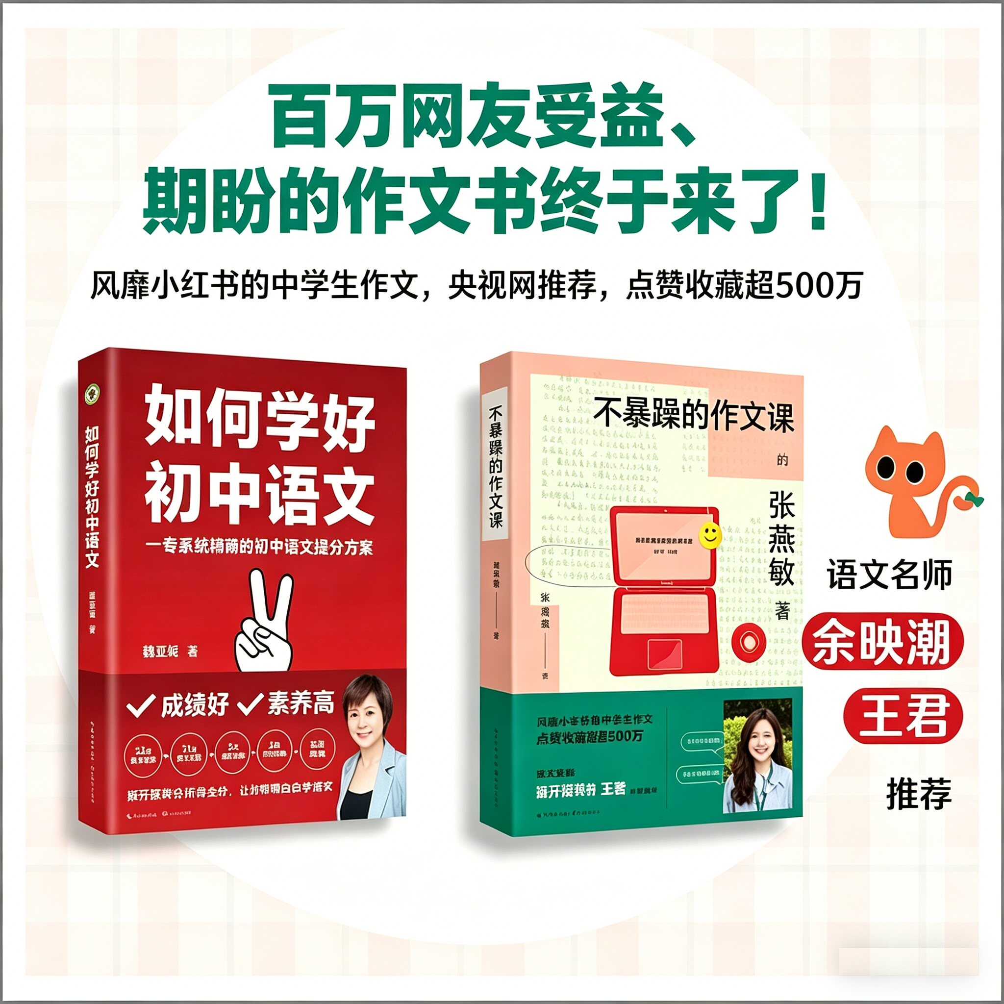 如何学好初中语文+不暴躁的作文课（中考语文提分宝典）张暴躁小红书爆款 作文技巧 附赠作文素材本