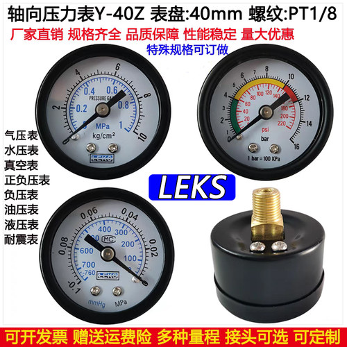 LEKSy40轴向无边压力表气压表