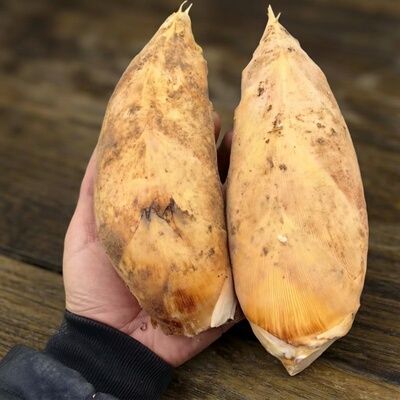 冬笋江西竹笋野生楠竹笋