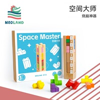 Neoland绿龙岛空间大师立体拼搭积木 幼儿逻辑思维专注力早教桌游