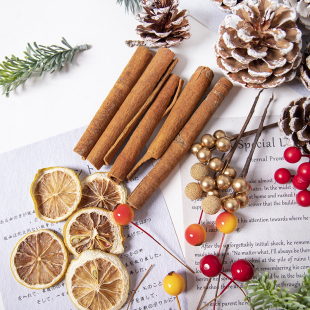 仿真冬青松果柠檬片桂皮干花松枝干狐尾松摆件diy装饰花艺配件