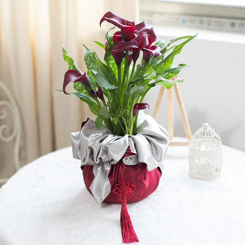 新年春节韩式花盆包布花盆布花盆礼品袋蝴蝶兰包布年宵花送礼包装