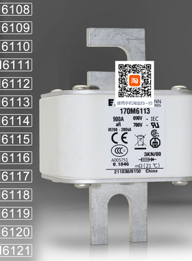 巴斯曼170M6108 6109 170M6110 6111 6112 170M6113 6114熔断器