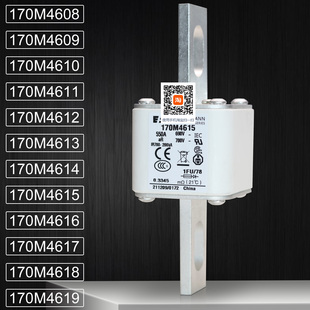 bussmann保险170M4614 4615 170M4616 4617 170M4618 4619熔断器