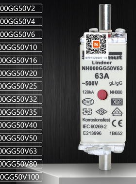 熔芯NH000GG50V2 NH000GG50V32 NH000GG50V100熔断器保险