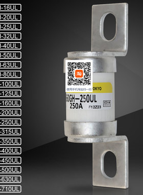 保险660GH-160 200 250 315 350 500 630 710ULTC熔断器