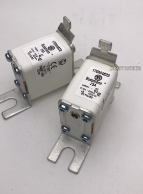 170M4810 170M4830 170M4811 170M4831巴斯曼保险丝1000V
