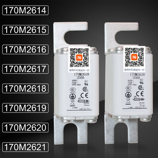 2616 2620 170M2617 170M2619 2621熔断器 2618 巴斯曼170M2615