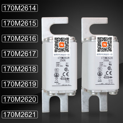 巴斯曼170M2617170M2620熔断器