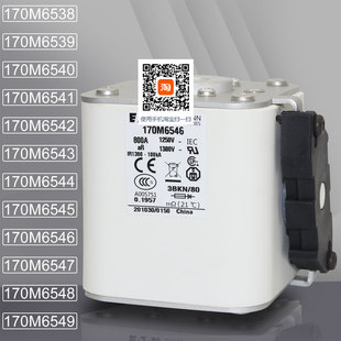 Bussmann保险170M6544 6545 170M6546 6547 170M6548 6549熔断器