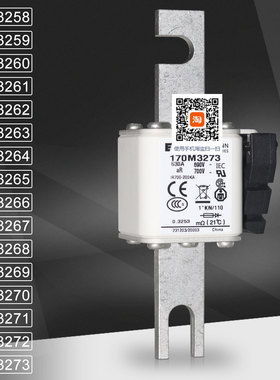 保险170M3258 3259 3260 3261 170M3262 3263 3264 3265熔断器