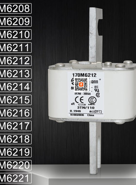 巴斯曼170M6208 6209 170M6210 6211 6212 170M6213 6214熔断器