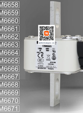 熔断器170M6658 6659 170M6660 6661 170M6662 6663 170M6664保险