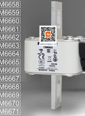 巴斯曼170M6665 6666 170M6667 6668 6669 170M6670 6671熔断器