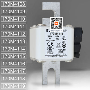 BUSSMANN保险170M4114 4115 170M4116 4117 170M4118 4119熔断器