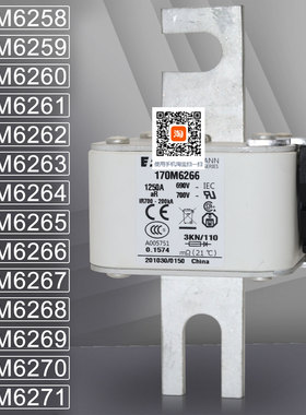 巴斯曼170M6258 6259 6260 170M6261 6262 170M6263 6264熔断器