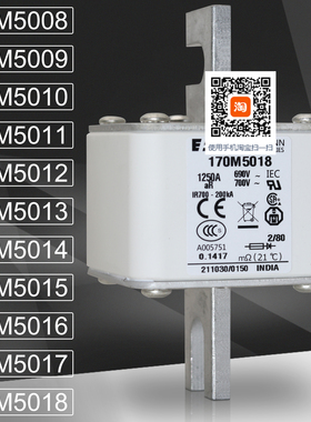 巴斯曼保险170M5008 5009 170M5010 5011 170M5012 5013熔断器
