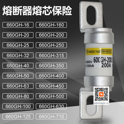 熔断器660GH-125UL保险