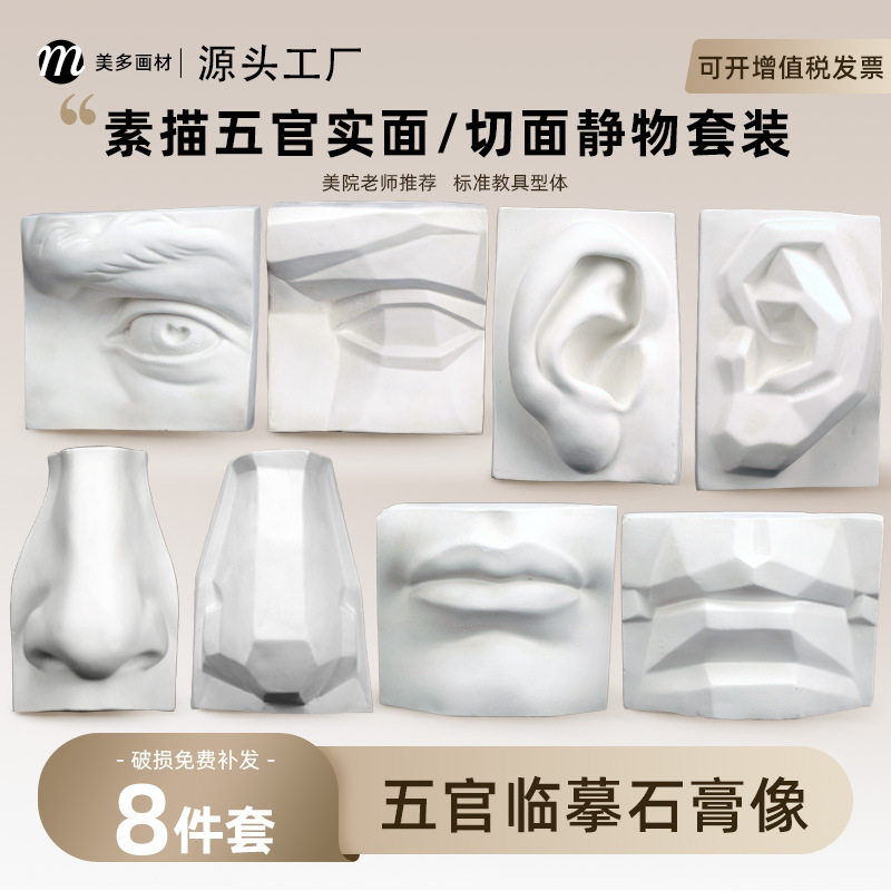 五官石膏像实面眼耳鼻嘴模型素描静物美术绘画画室装饰石膏眼格坤
