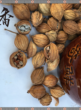 香砂散装1斤（500克砂仁烧菜卤肉卤菜火锅烧烤香调料农副产品包邮