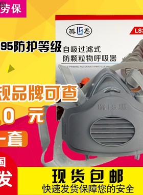 璐思LS3200防尘面罩猪鼻子口罩工业防尘打磨透气装修劳保防护扣子