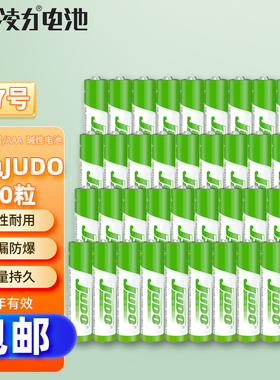 凌力 中文JUDO 碱性电池 遥控玩具灯笼鼠标