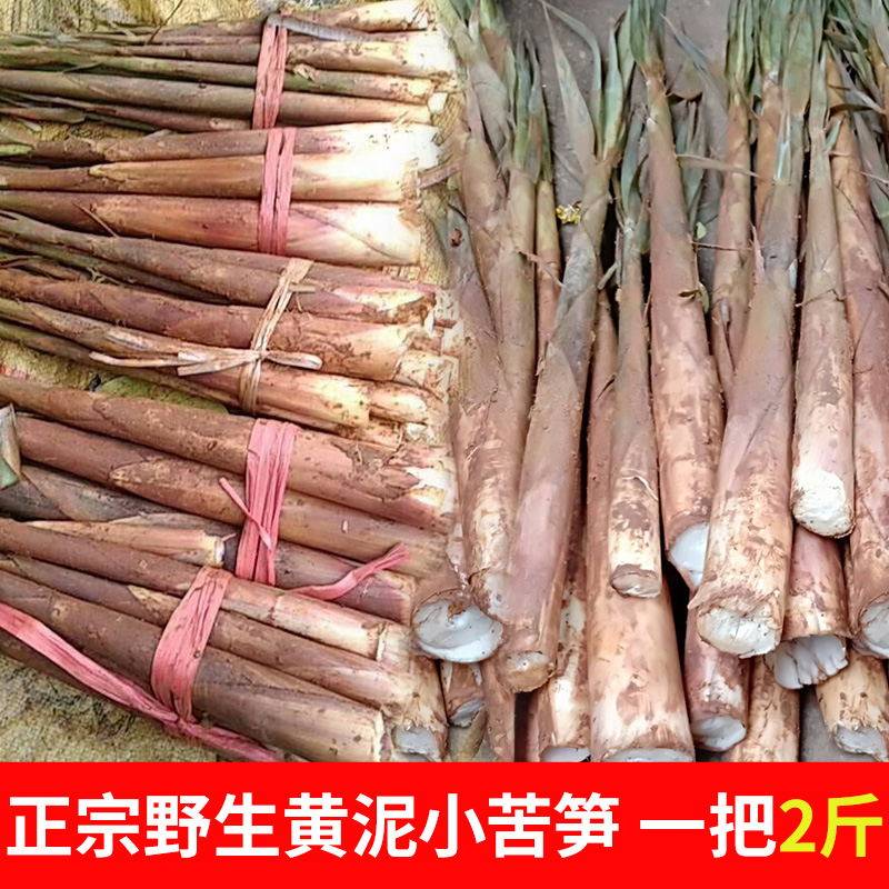 福建野生小苦笋非人工种植深山竹笋黄泥笋微苦清脆春笋建瓯带壳笋