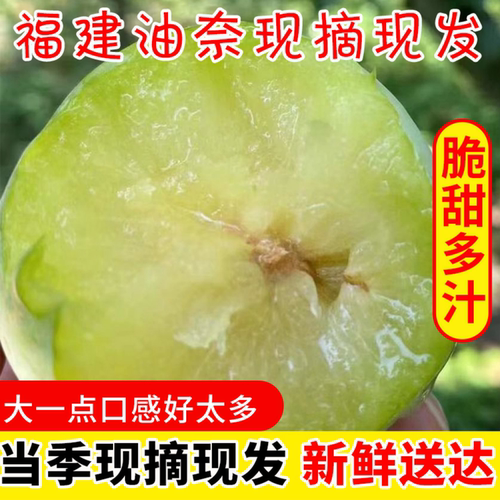 农家常温5斤建瓯现在现发应季果