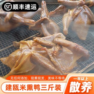 东游特产建州香米熏鸭新鲜活土全番鸭咸水鸭卤货鸭肉制品现做顺丰