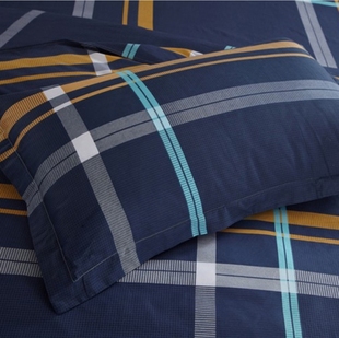 真爱永恒枕套一对化纤涤纶简约格子单人学生宿舍枕皮一对48x74cm