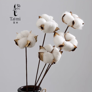 苔米 饰材料 圣诞节天然棉花带杆干花花艺搭配鲜花束diy配件花店装