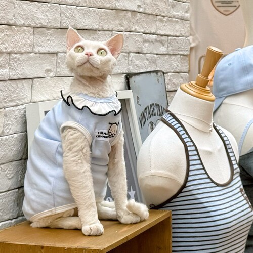 Y·H 兔叽萝莉～夏季居家婴儿棉空调服斯芬克斯无毛猫德文衣服