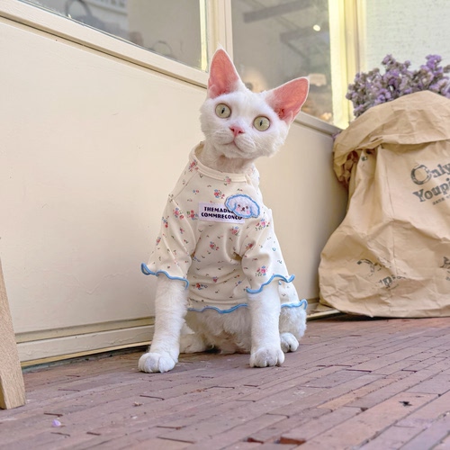Y·H 『芝士奶蓝』法式小花 斯芬克斯无毛猫衣服德文永禾