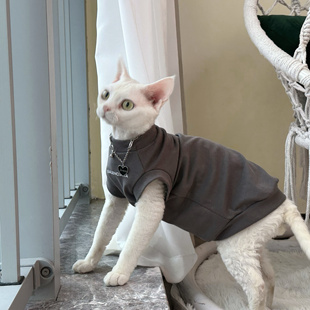 T恤斯芬克斯无毛猫衣服德文 字母印花」无袖 永禾 复古 Y·H「美式