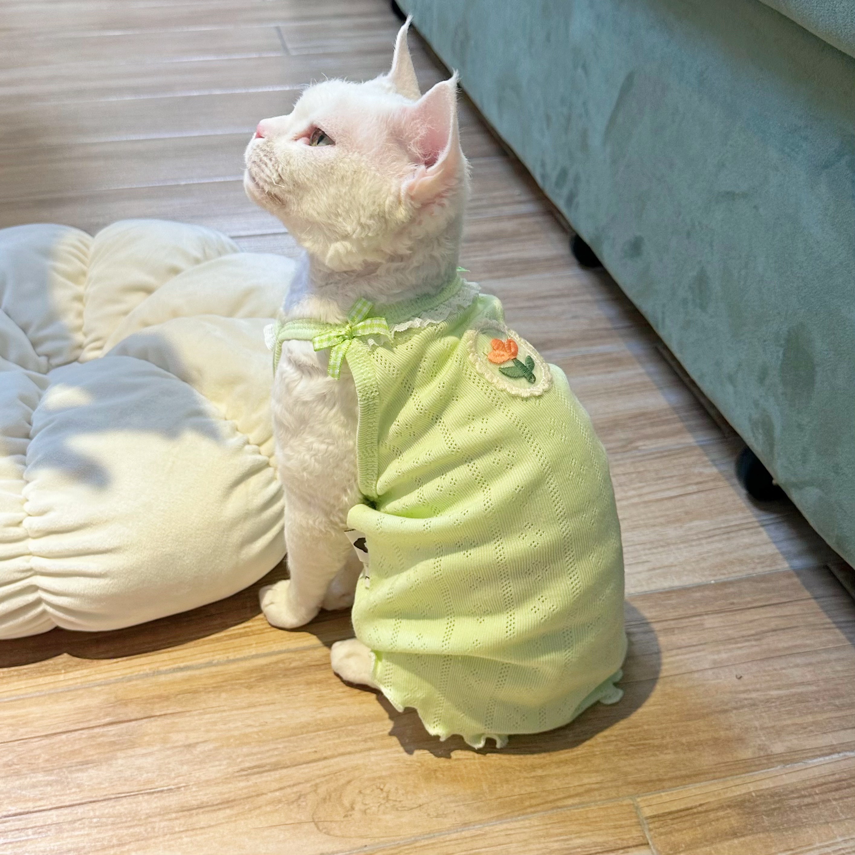 Y·H 夏日小清新  网眼透气夏天薄款无袖斯芬克斯无毛猫衣服德文