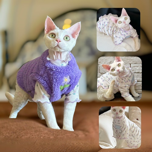 Y·H 太美啦～小fafa暖冬毛绒绒加厚保暖斯芬克斯无毛猫衣服德文