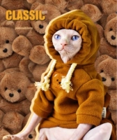 YH-плюшевый мишка Двухсторонний бархатный свитер осенью и зимой утолщенный сфинкс безволосоко