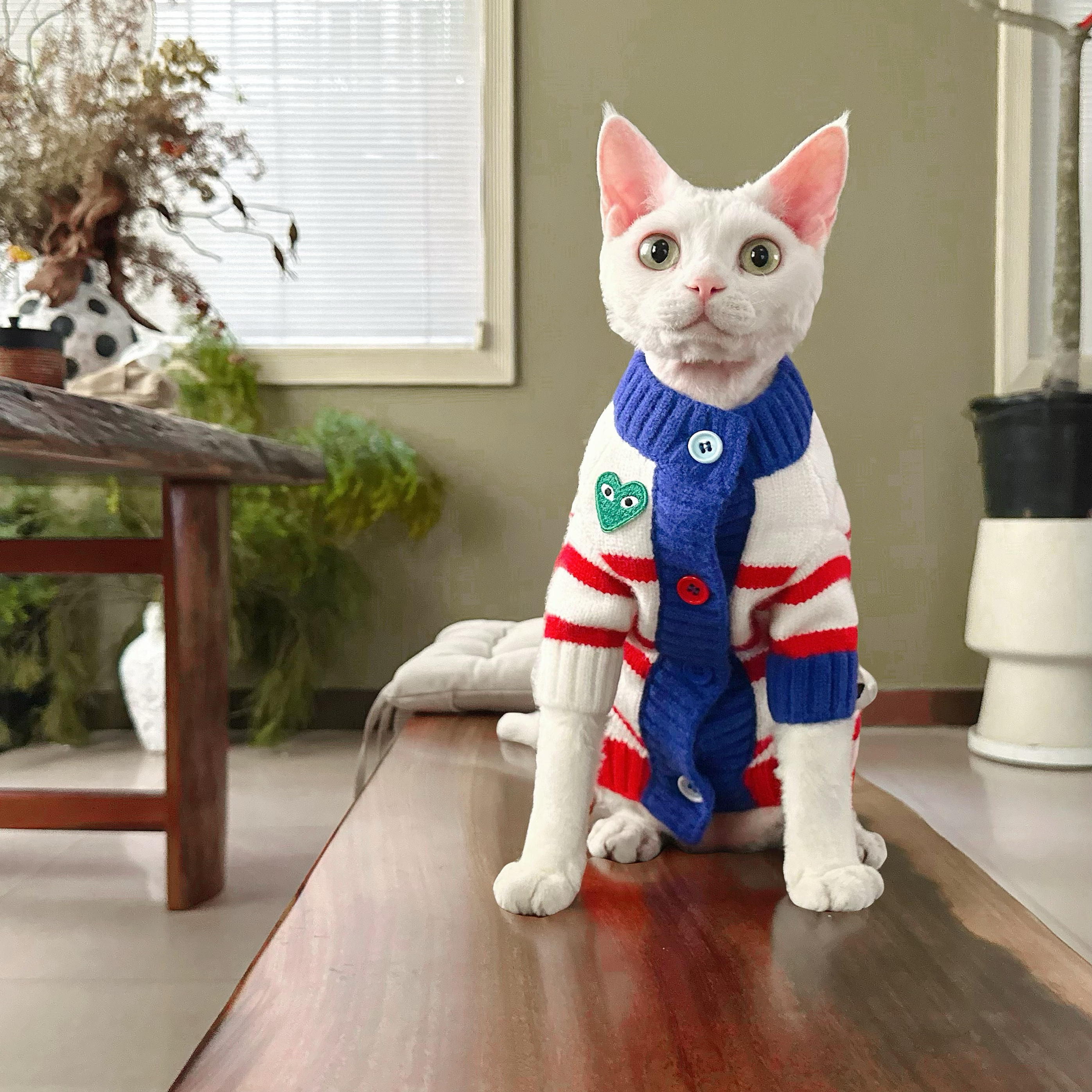 Y·H 新年条纹开衫毛衣 斯芬克斯无毛猫衣服德文冬天保暖加厚