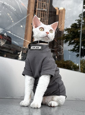 Y·H 韩剧男主| 灰调内搭春秋斯芬克斯无毛猫衣服德文