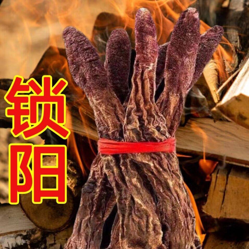 金锁阳内蒙古阿拉善锁阳切片锁阳泡酒料沙漠人参正宗锁阳整根正品
