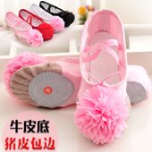 儿童舞蹈鞋 成人女 足尖鞋 软底猫爪跳舞鞋 女童练功瑜伽芭蕾舞体操鞋