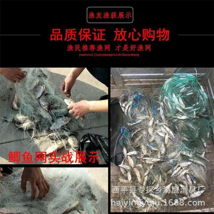 渔网渔具粘网丝网捕鱼网三层沉网单层浮网挂子网白条鲫鱼鲢鱼沾网