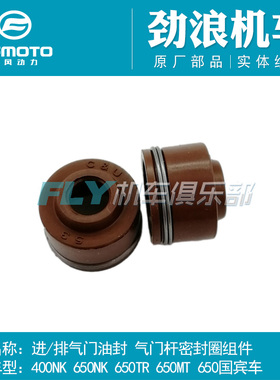 CFMOTO摩托车配件春风400NK 650NK MT TR 国宾车TRG进/排气门油封