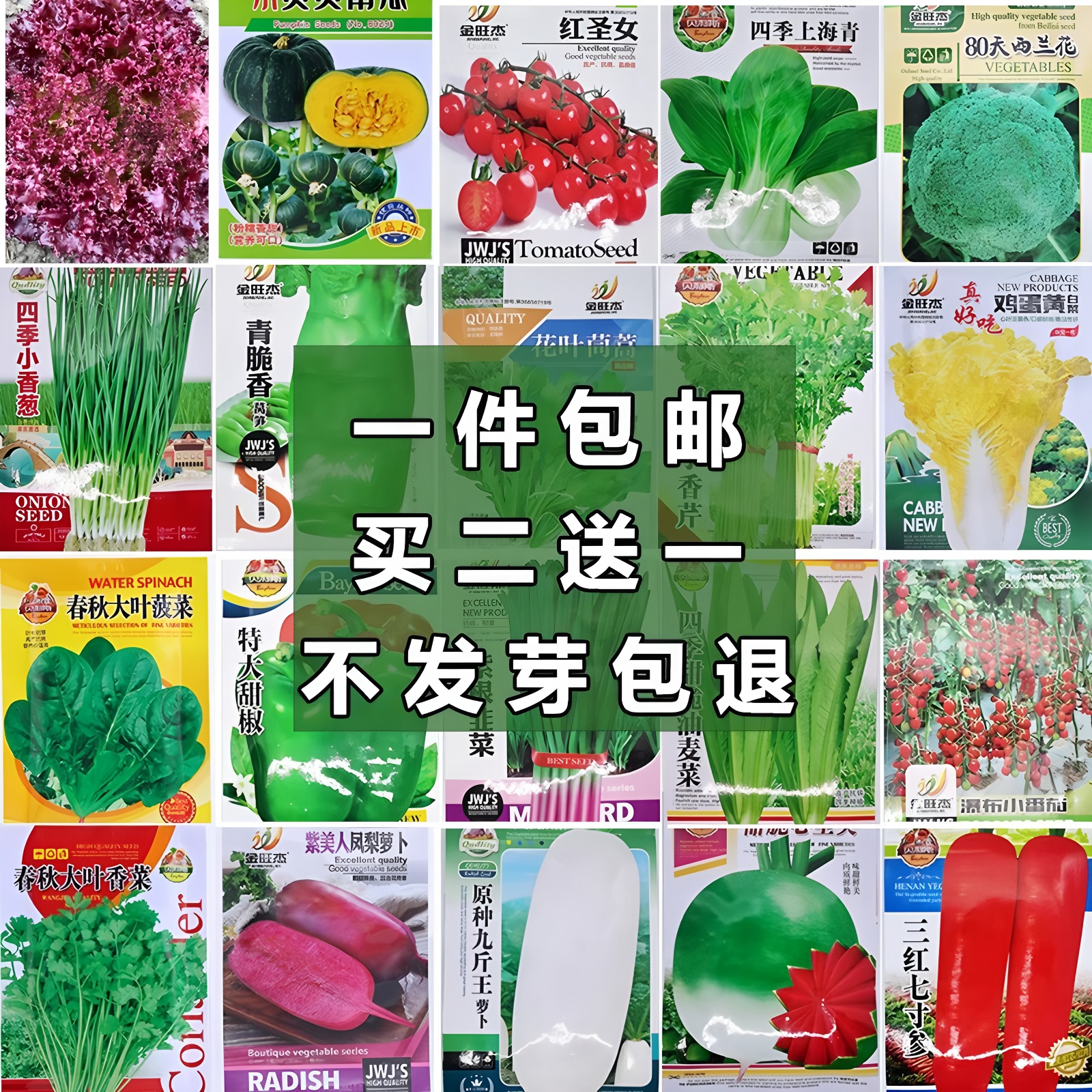 蔬菜种籽大全买二送一