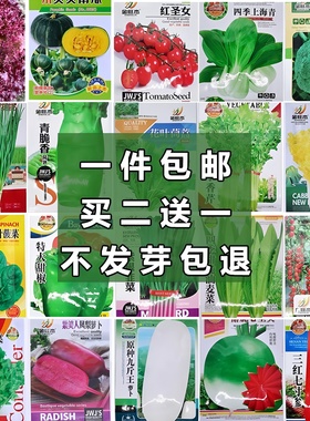 四季阳台盆栽菠菜番茄辣椒白菜小葱萝卜生菜孑香菜籽蔬菜种子大全