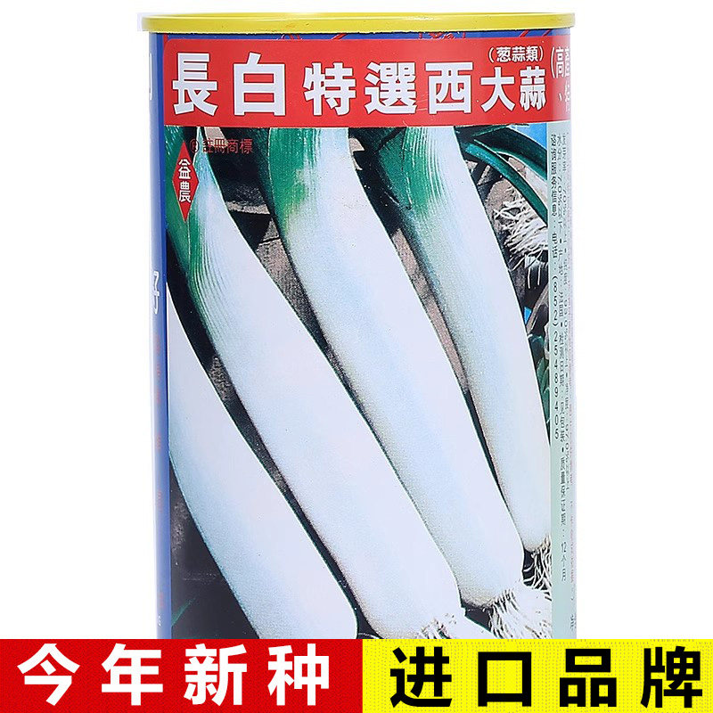 益晨牌长白特选西大蒜种子葱韭葱种子甜脆长白条章丘大葱种蔬菜籽