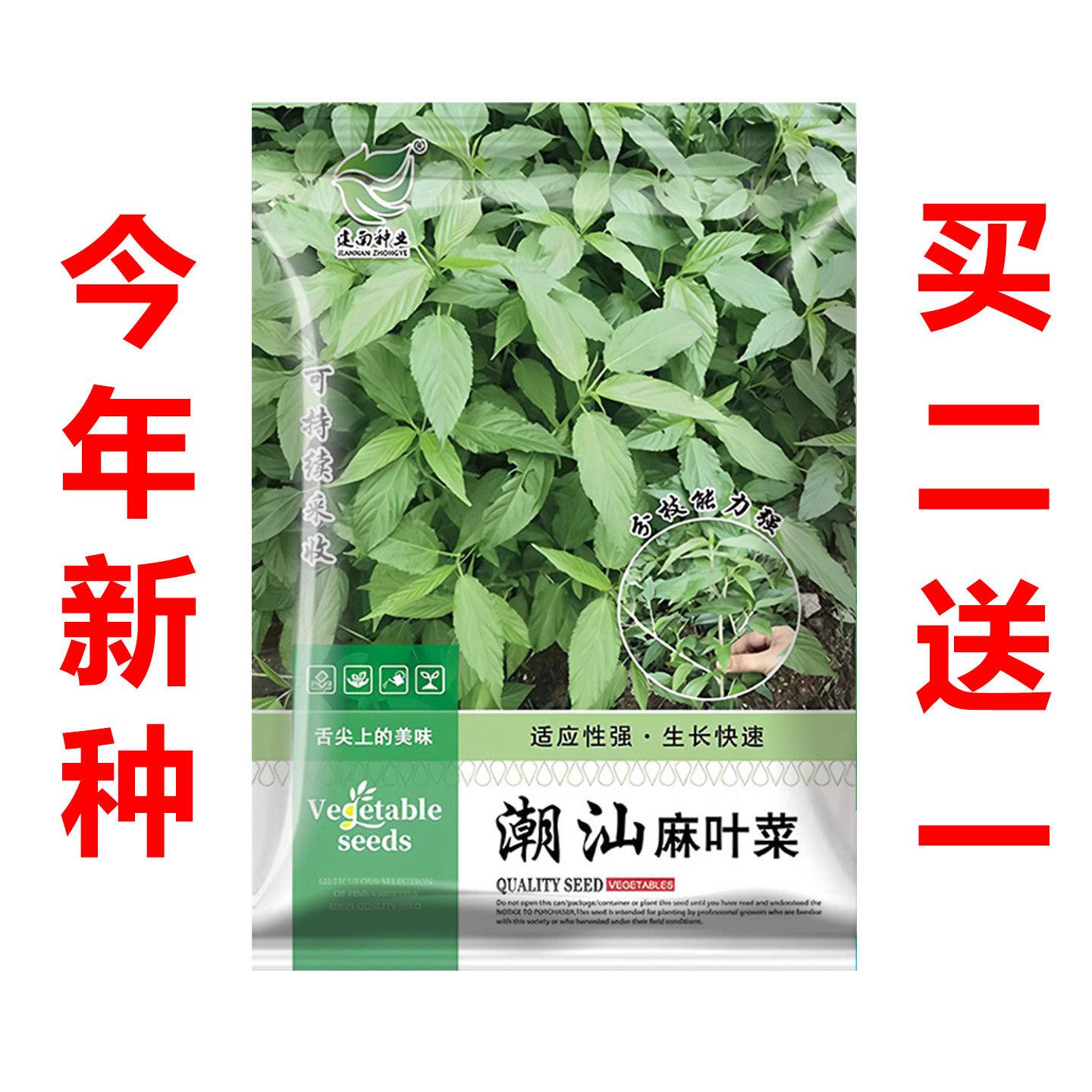 正宗潮汕白麻叶菜种籽菜用黄麻叶埃及帝王菜野菜种子特色蔬菜种孑