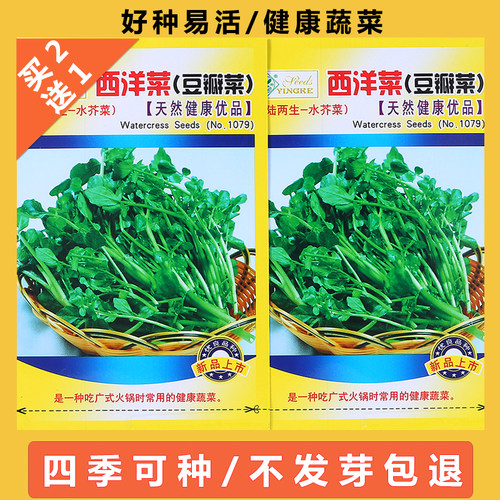 今年新种子西洋菜种子买2送1