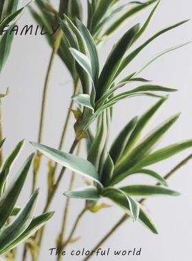 可爱家家居仿真绿色植物百合木