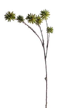 客厅仿真花卉果实绿色植物